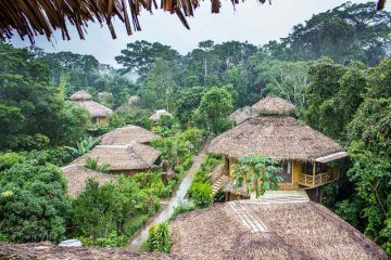 What To Expect On An Ecuador Amazon Tour With La Selva Lodge