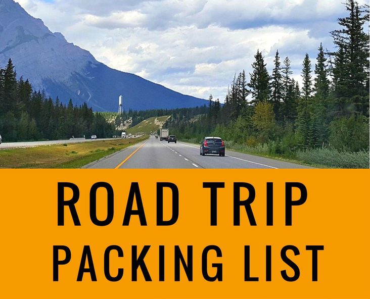 our essential summer road trip packing list