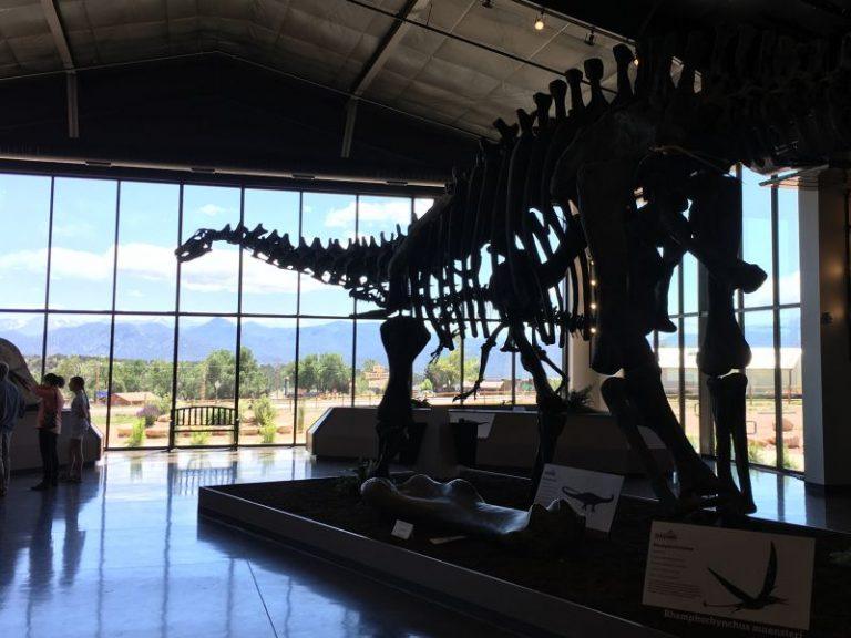 royal gorge dinosaur experience coupons