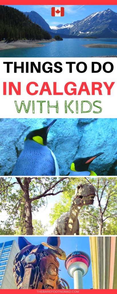 Things To Do In Calgary With Kids